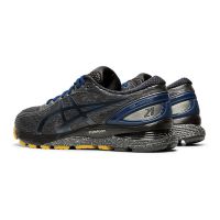 Asics gel hot sale nimbus winterized