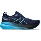 Asics Gel Kayano 31