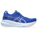 Asics Gel Kayano 31